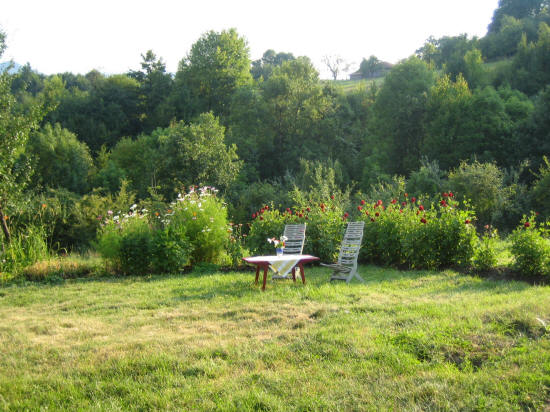 le jardin